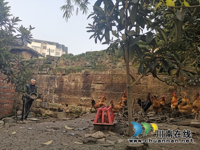 羅旭：以臂做手，發(fā)展養(yǎng)殖，成為全省脫貧勵志榜樣(圖3)