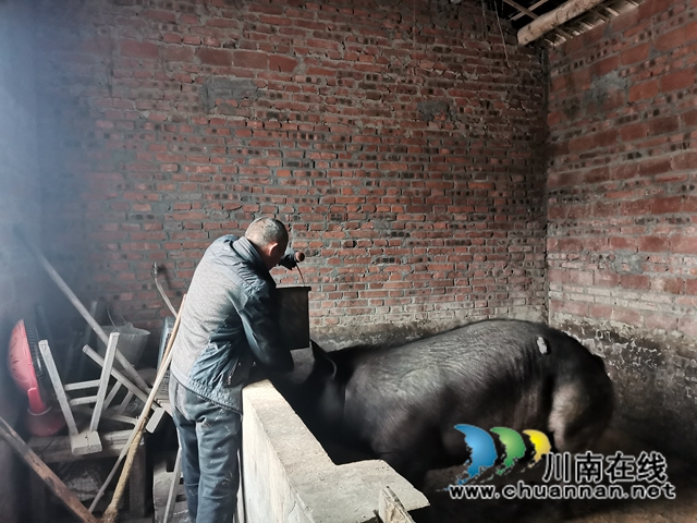 羅旭：以臂做手，發(fā)展養(yǎng)殖，成為全省脫貧勵志榜樣(圖4)