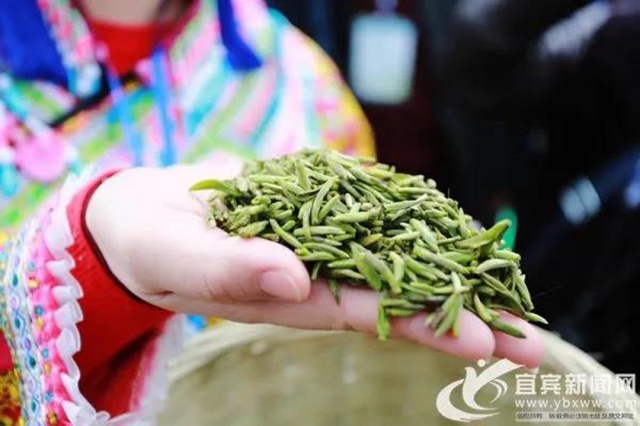 新增小伙伴，“天府龍芽”宜賓再添五成員！