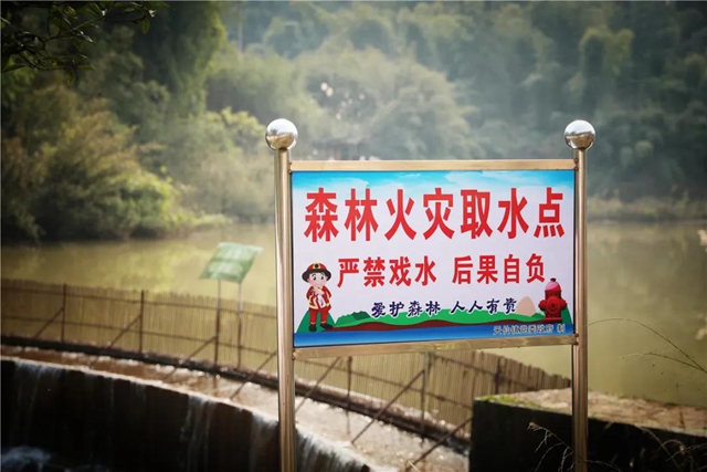 【森林防滅火】瀘州納溪：青山有人管 綠林有人護(圖5)