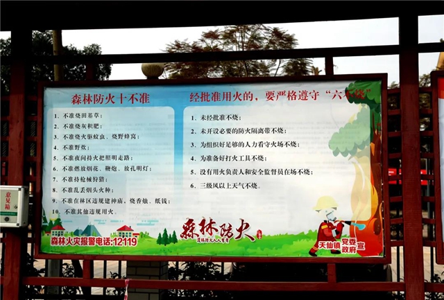 【森林防滅火】瀘州納溪：青山有人管 綠林有人護(圖6)