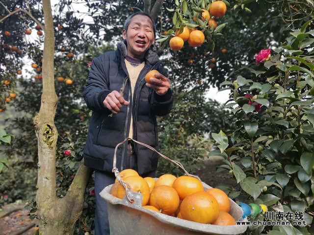 瀘縣毗盧鎮(zhèn)脫貧榜樣唐登元：坐在輪椅上品嘗脫貧的喜悅(圖2)