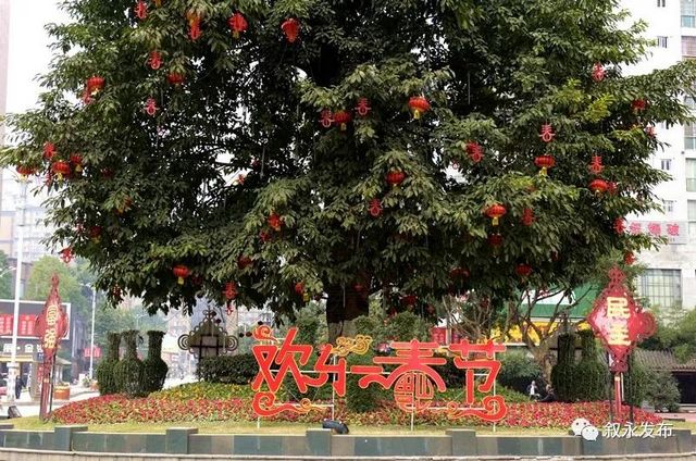 年味漸濃丨大紅燈籠高高掛，今年春節(jié)敘永有點(diǎn)靚(圖9)