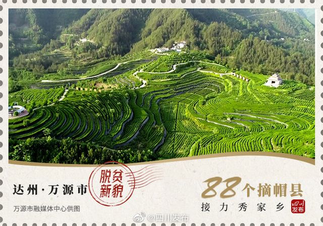 古藺被“印”在這張“郵票”上……(圖7)