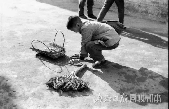 震撼！64張絕版老照片曝光，這是“60后”內江人的回憶(圖57)