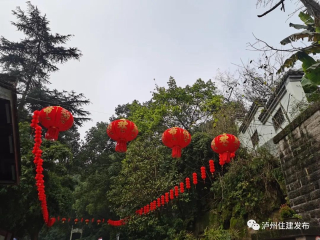 最美色彩迎新年，百萬盆鮮花扮靚瀘州城！(圖5)