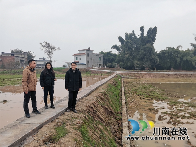 立春到農(nóng)事忙  瀘縣春耕備耕正當(dāng)時(shí)(圖7)