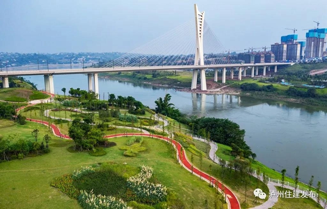 厲害了！瀘州這座橋(圖4)