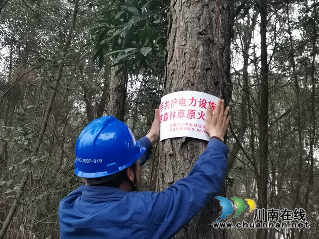國網(wǎng)瀘川公司做好森林防火排危確保群眾溫暖過冬(圖4)