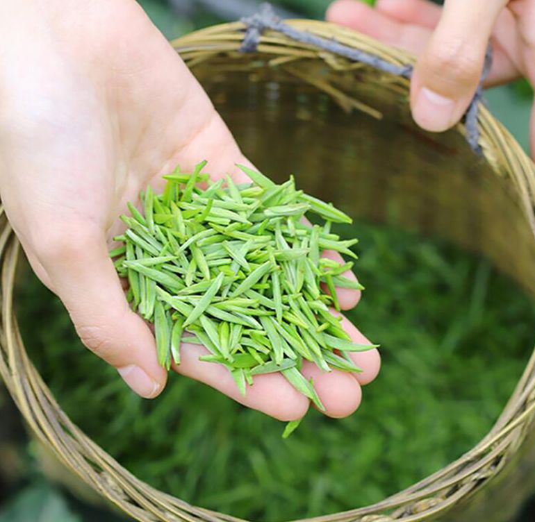 宜賓早茶節(jié)(圖8)
