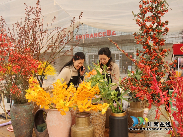 龍馬潭：“年宵花”扮靚家，熱鬧喜慶迎新年(圖1)