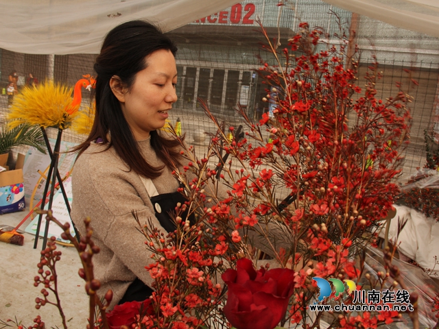 龍馬潭：“年宵花”扮靚家，熱鬧喜慶迎新年(圖3)