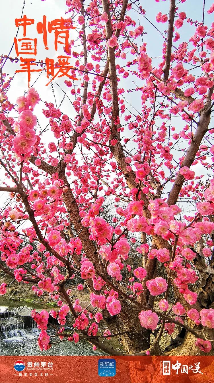 這十張圖告訴你春天的味道(圖3)