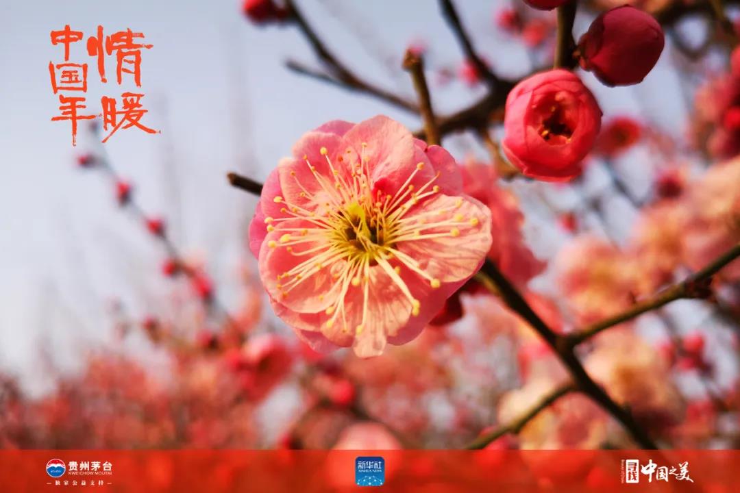 這十張圖告訴你春天的味道(圖4)