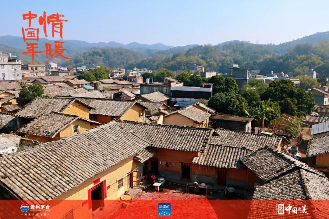 這十張圖告訴你春天的味道(圖5)