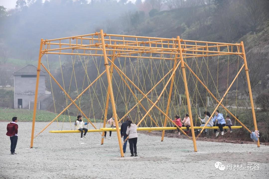 開園啦！丹林櫻花谷今日開園(圖9)