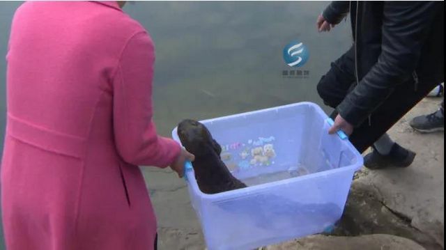出一萬(wàn)也不賣！富順村民水井中居然發(fā)現(xiàn)……(圖3)