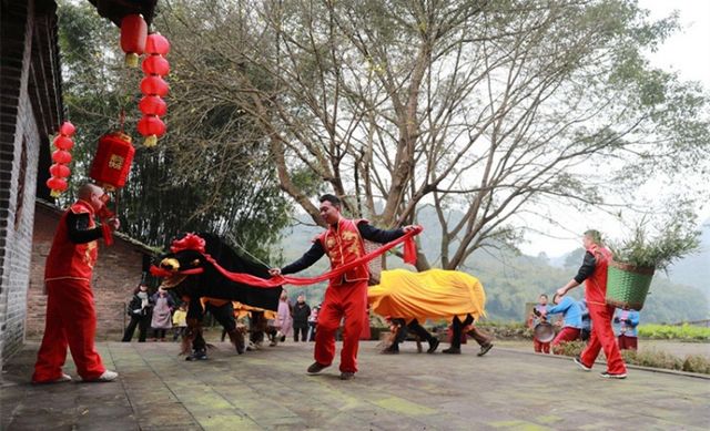 云拜年 ︳敲鑼打鼓耍牛燈 歡歡喜喜過新年(圖2)