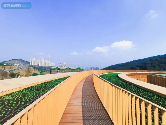 提醒！假期余額不足！去宜賓這些地方游玩還來得及！賞花、觀展、踏青……(圖7)