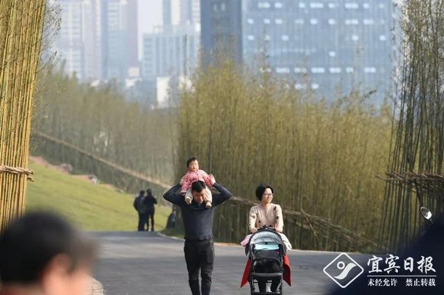 提醒！假期余額不足！去宜賓這些地方游玩還來得及！賞花、觀展、踏青……(圖10)