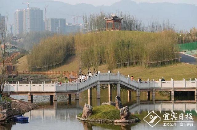 提醒！假期余額不足！去宜賓這些地方游玩還來得及！賞花、觀展、踏青……(圖11)