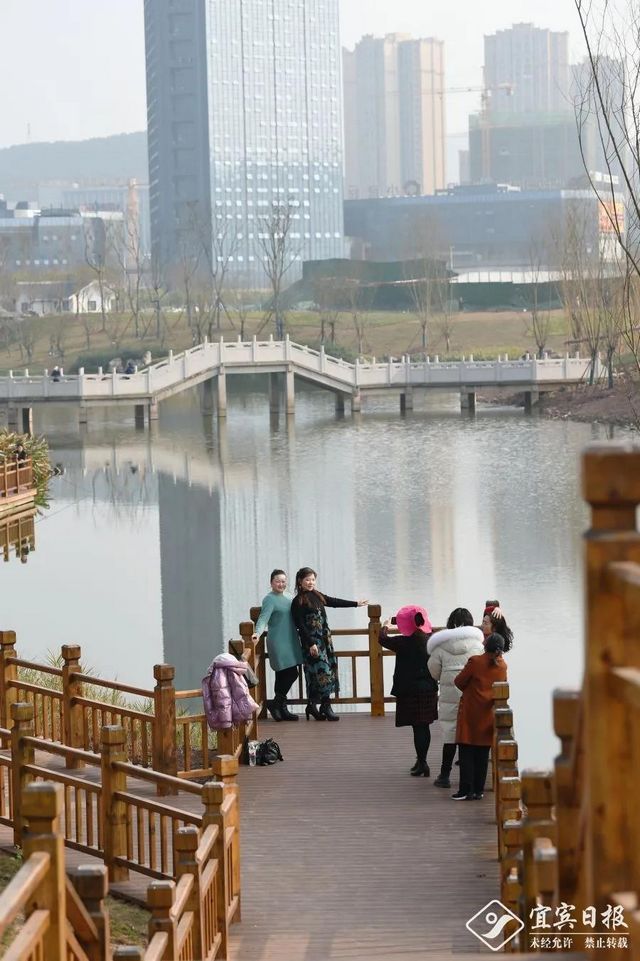 提醒！假期余額不足！去宜賓這些地方游玩還來得及！賞花、觀展、踏青……(圖9)