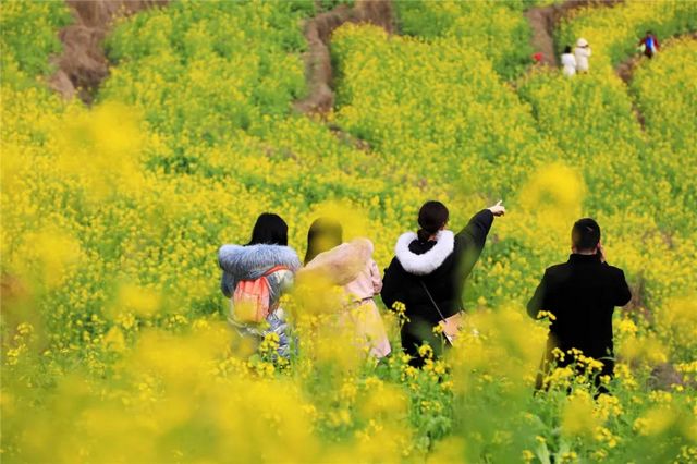 提醒！假期余額不足！去宜賓這些地方游玩還來得及！賞花、觀展、踏青……(圖13)