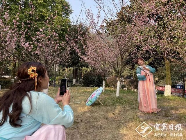 提醒！假期余額不足！去宜賓這些地方游玩還來得及！賞花、觀展、踏青……(圖18)