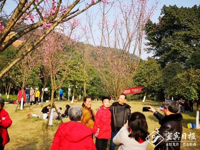 提醒！假期余額不足！去宜賓這些地方游玩還來得及！賞花、觀展、踏青……(圖19)