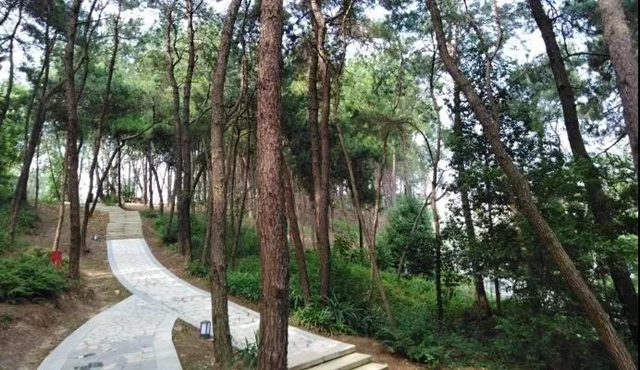 鍛煉+賞景兩不誤！內江這幾條戶外線路你值得擁有(圖4)