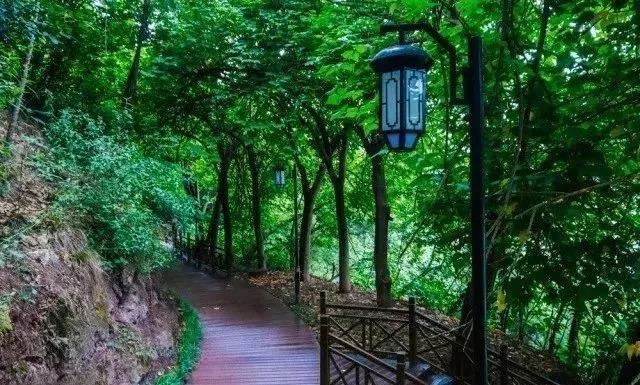 鍛煉+賞景兩不誤！內江這幾條戶外線路你值得擁有(圖18)