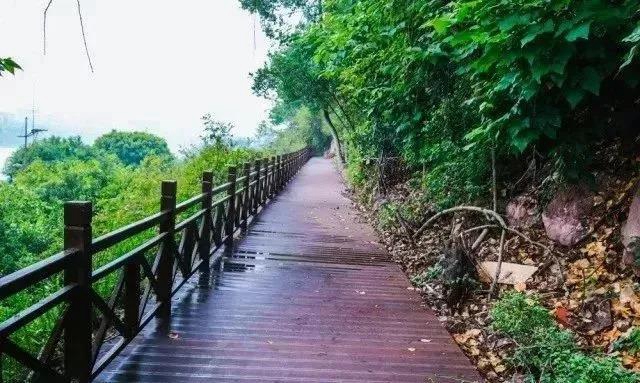 鍛煉+賞景兩不誤！內江這幾條戶外線路你值得擁有(圖19)