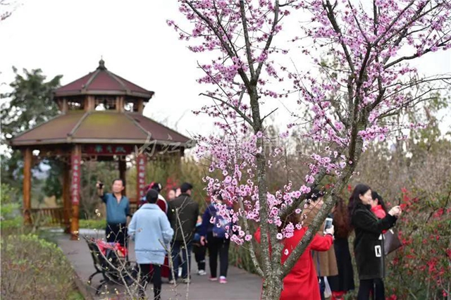 藏不住了！內(nèi)江城區(qū)這兩個濕地公園“藏”不住了(圖3)