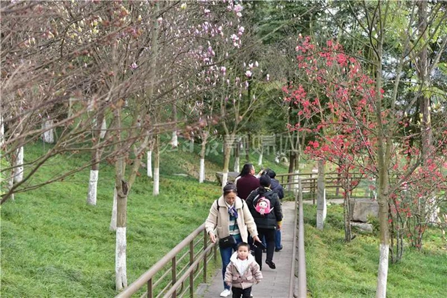 藏不住了！內(nèi)江城區(qū)這兩個濕地公園“藏”不住了(圖5)