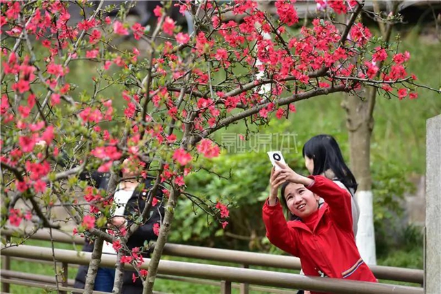 藏不住了！內(nèi)江城區(qū)這兩個濕地公園“藏”不住了(圖7)