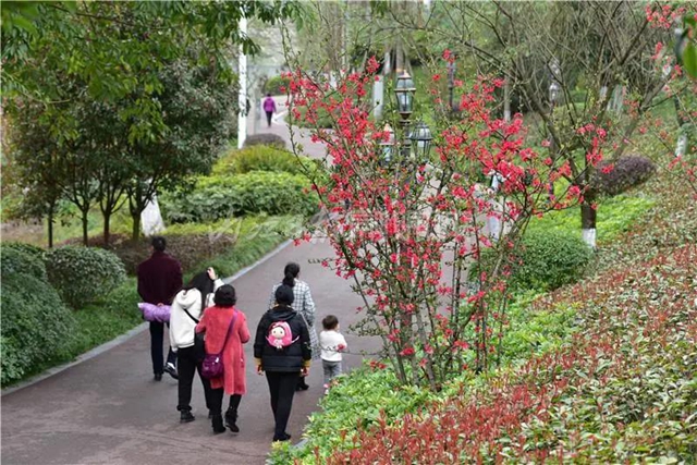 藏不住了！內(nèi)江城區(qū)這兩個濕地公園“藏”不住了(圖9)