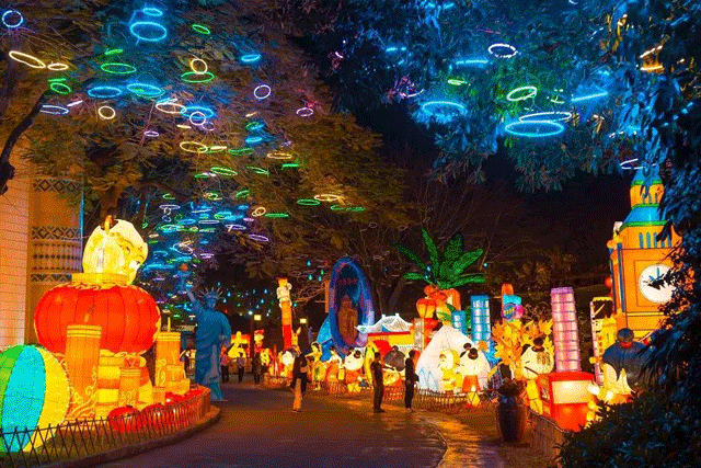 漂亮！自貢彩燈點亮青島，還引來央視關注(圖4)