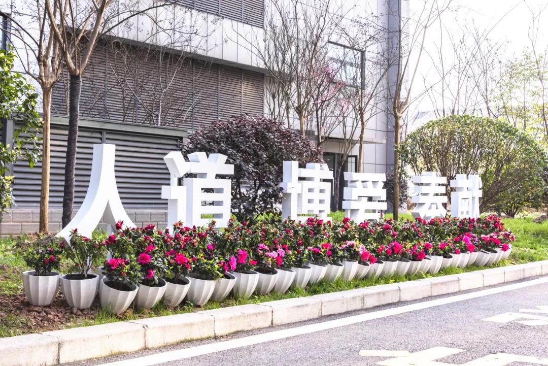 市人醫(yī)，又美了！(圖2)