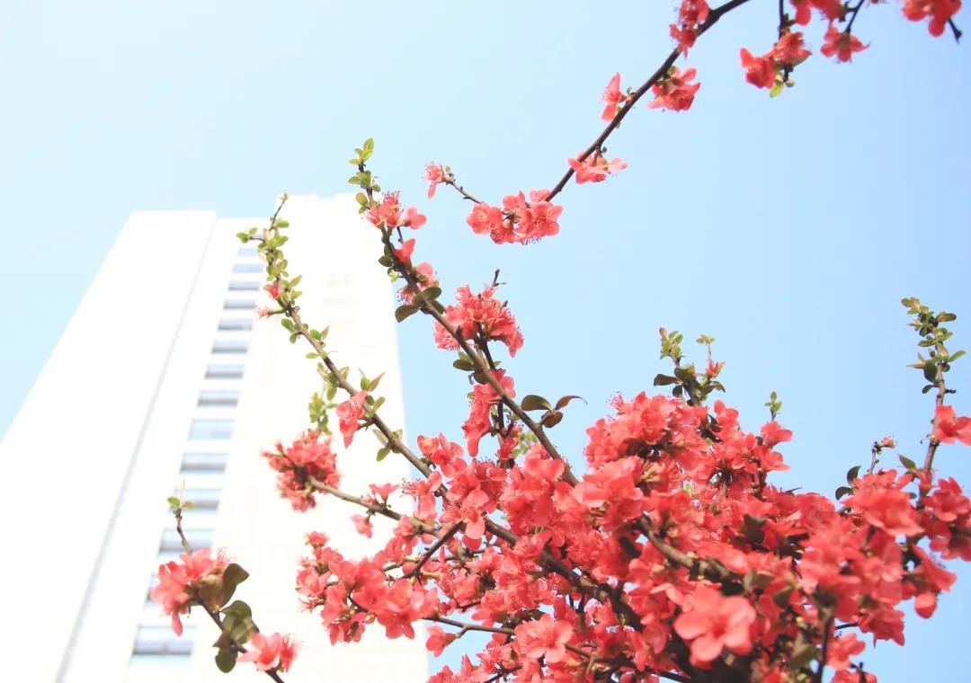 市人醫(yī)，又美了！(圖13)