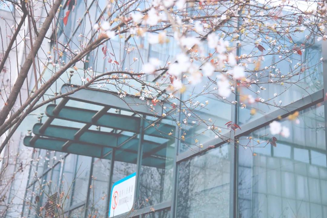 市人醫(yī)，又美了！(圖18)