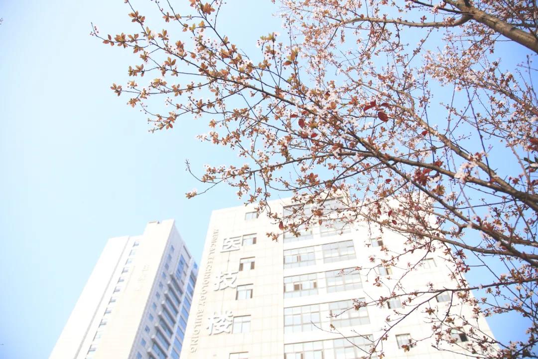 市人醫(yī)，又美了！(圖20)