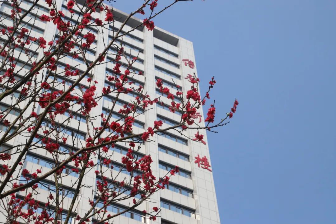 西南醫(yī)大中醫(yī)院人：新年新氣象！擼起袖子加油干！(圖2)