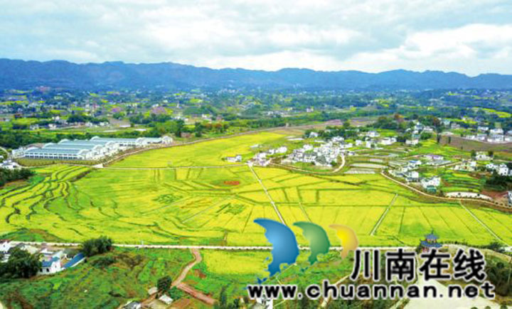  產(chǎn)業(yè)興旺美如畫(圖3)