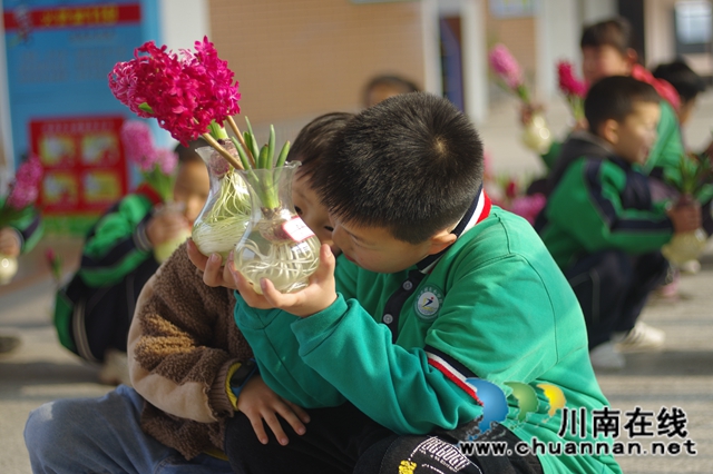 賞花 +采摘　瀘縣城東小學(xué)成了春天里的樂(lè)園(圖5)