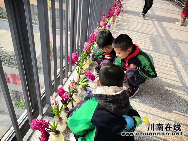 賞花 +采摘　瀘縣城東小學(xué)成了春天里的樂(lè)園(圖4)