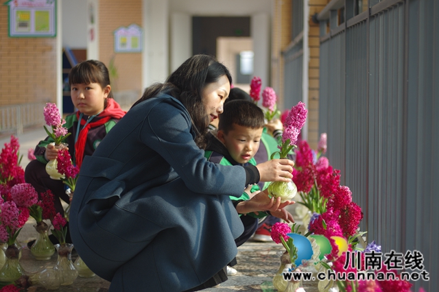 賞花 +采摘　瀘縣城東小學(xué)成了春天里的樂(lè)園(圖8)