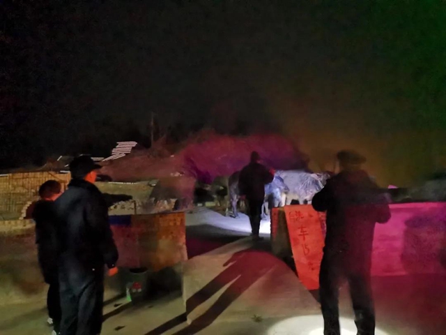 還在吃火鍋嗨歌，突然闖進8頭牛！宜賓這家人被嚇慘了……(圖2)