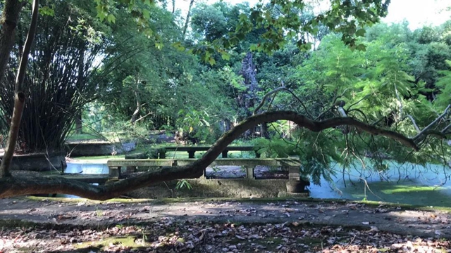 龍馬潭公園即將全新打造，預計年底重新開放(圖1)