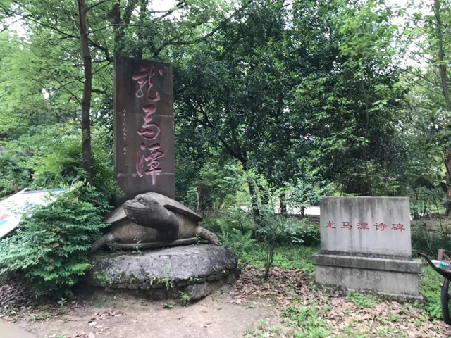 龍馬潭公園即將全新打造，預計年底重新開放(圖2)