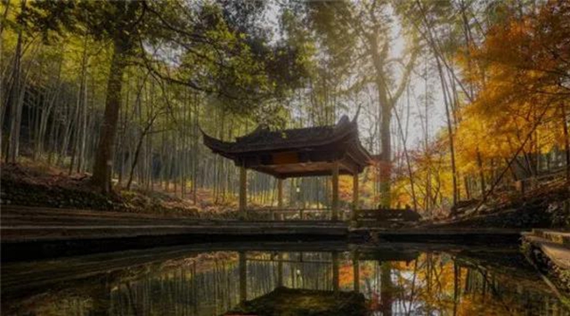 龍馬潭公園即將全新打造，預計年底重新開放(圖7)